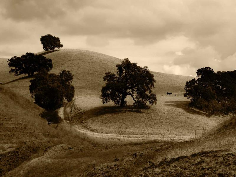 元曲四大家<br>qyf5seag.cn 窦娥六月飞雪